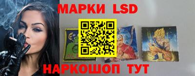 гашик Новокубанск