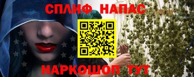 гашик Новокубанск