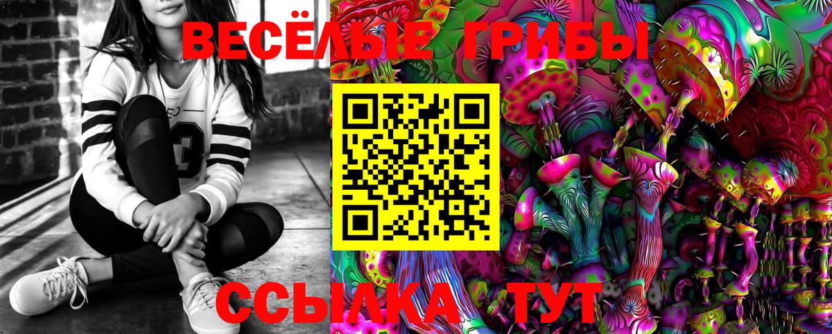 Галлюциногенные грибы прущие грибы Саров