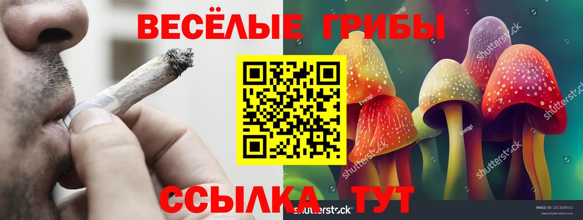 Псилоцибиновые грибы GOLDEN TEACHER  Вход с VPN  где купить наркотик  Саров  Галлюциногенные грибы ЛСД 
